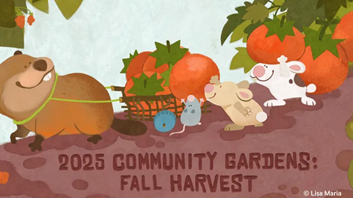 Fall Recordings 2025 (Twitter Post).png