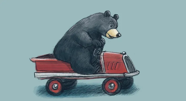 Info Card - Bear.png