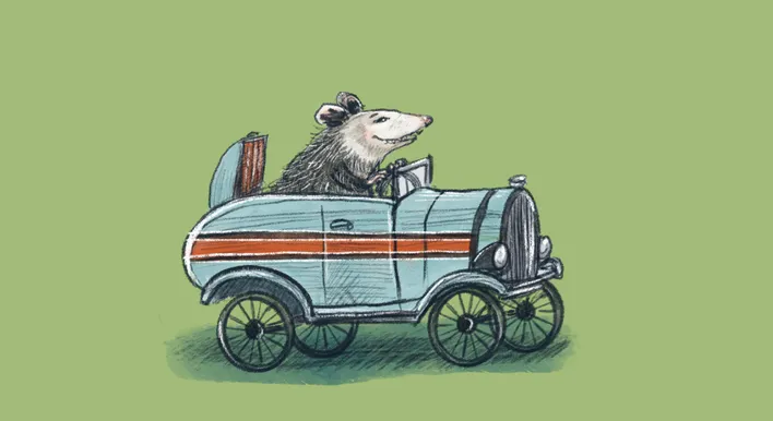 Info Card - Opossum.png