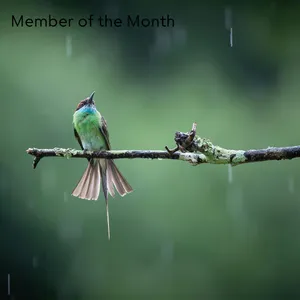 Member of the Month.png