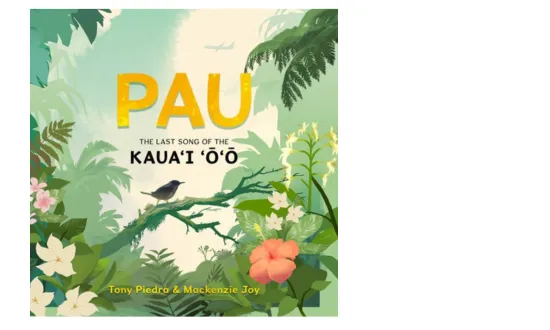 Pau.png
