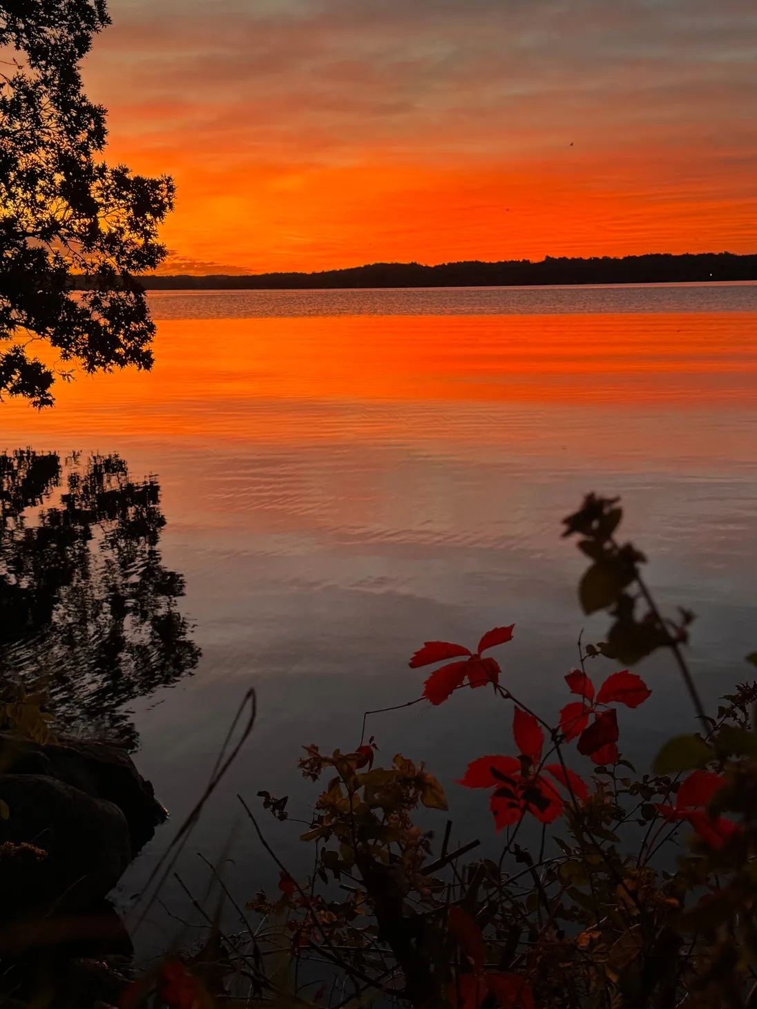 c sunrise.jpg