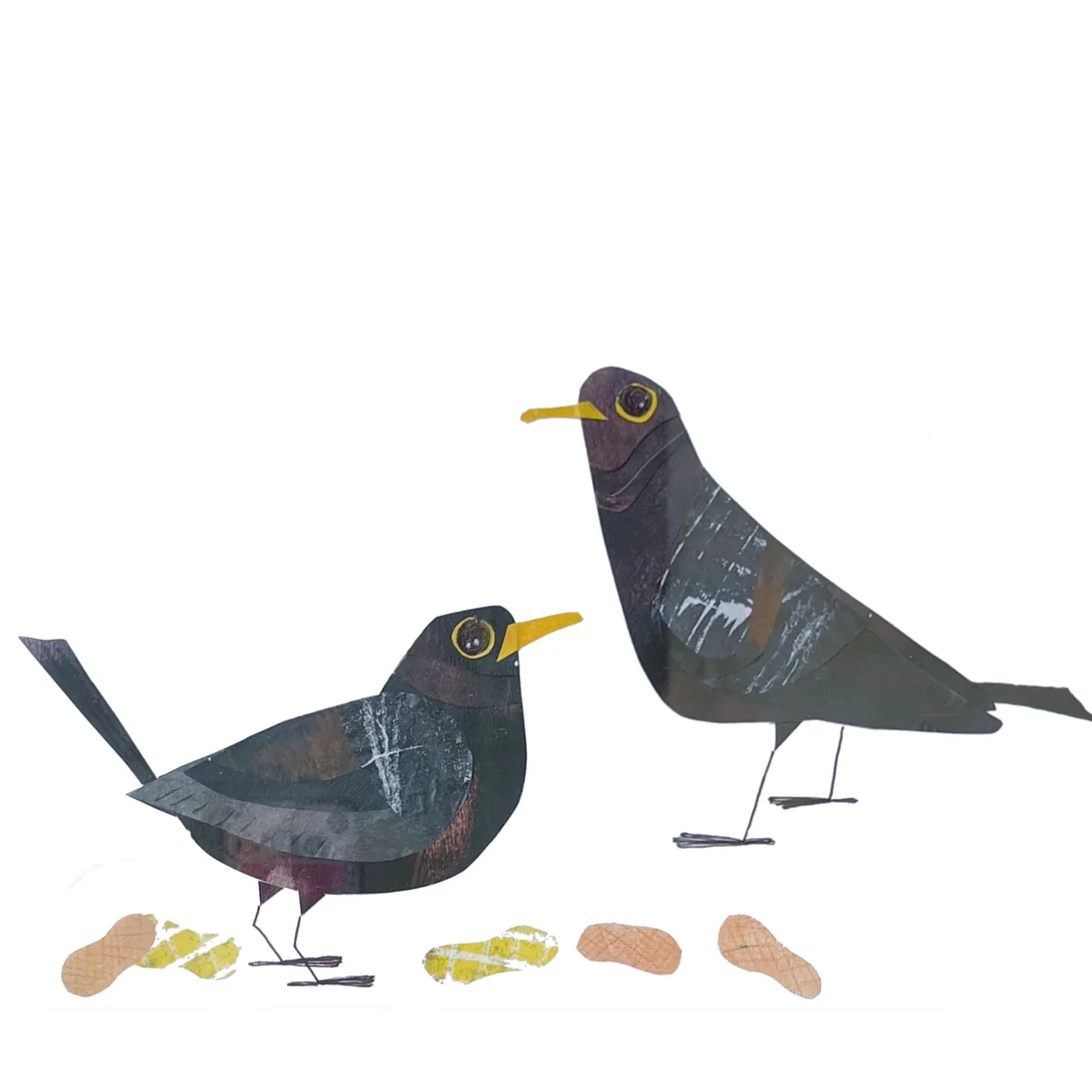 crows in the morning.JPG
