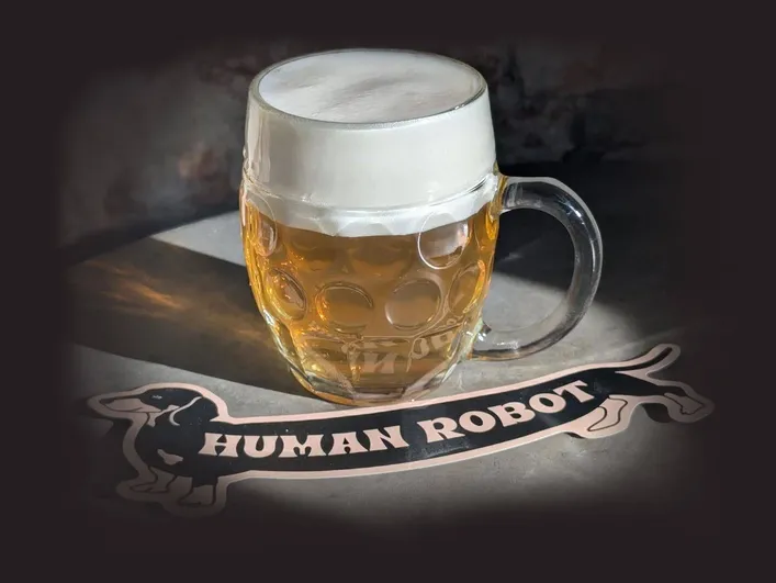 human robot.webp
