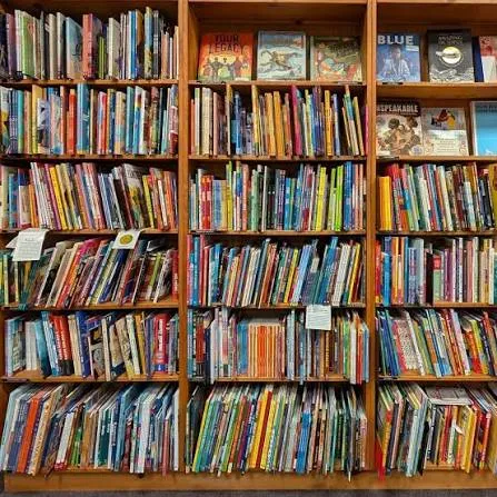 library shelves.jpeg