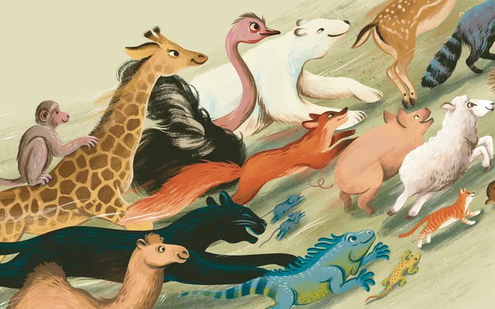 other cover header maybe.png