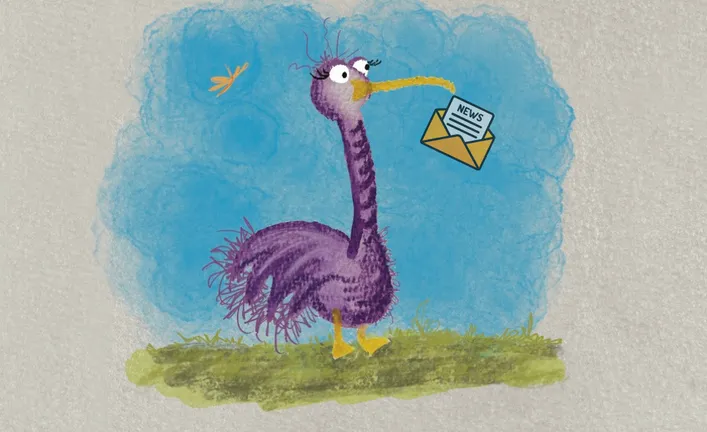 website image update (9).png