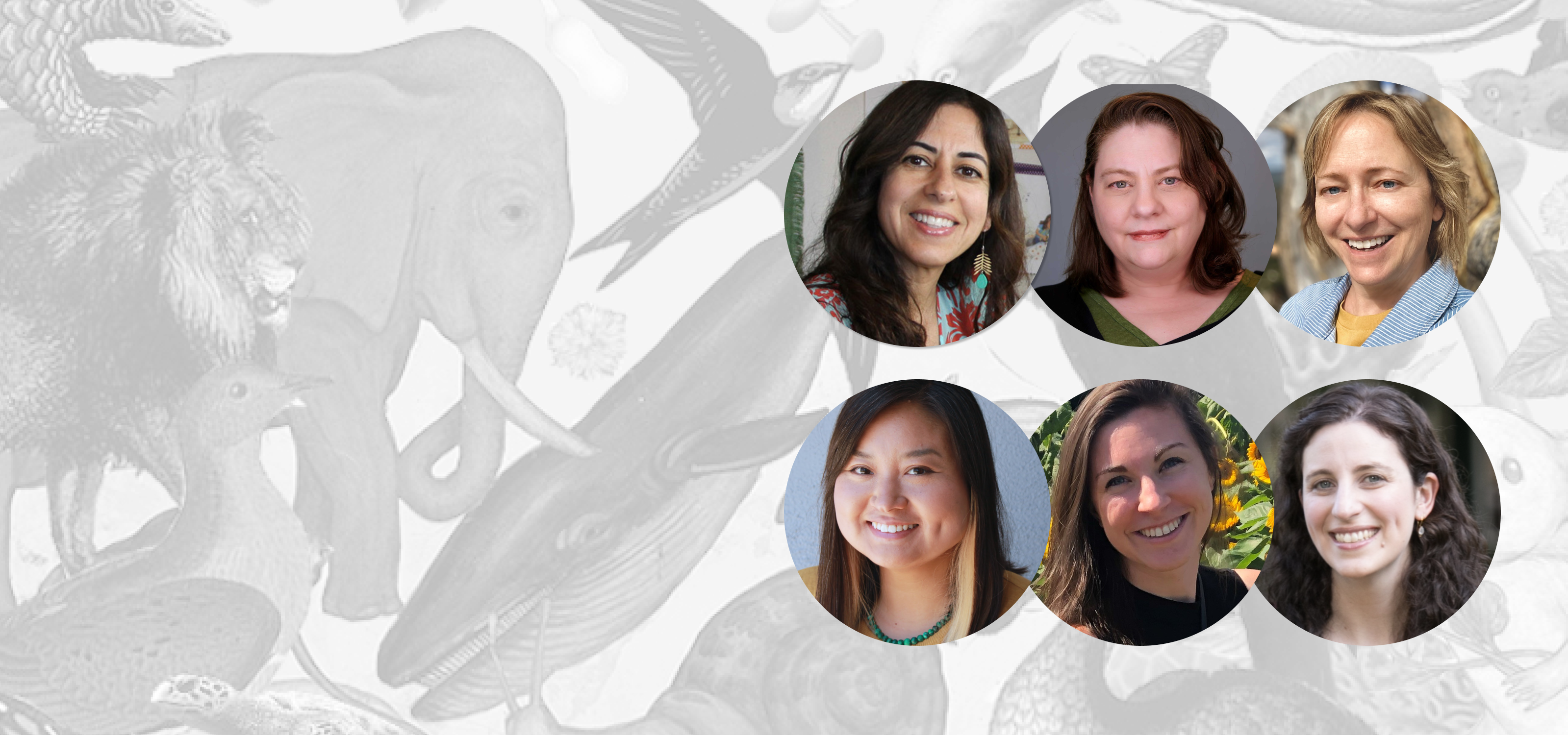 Bootcamp - 3_2026 Banner.png