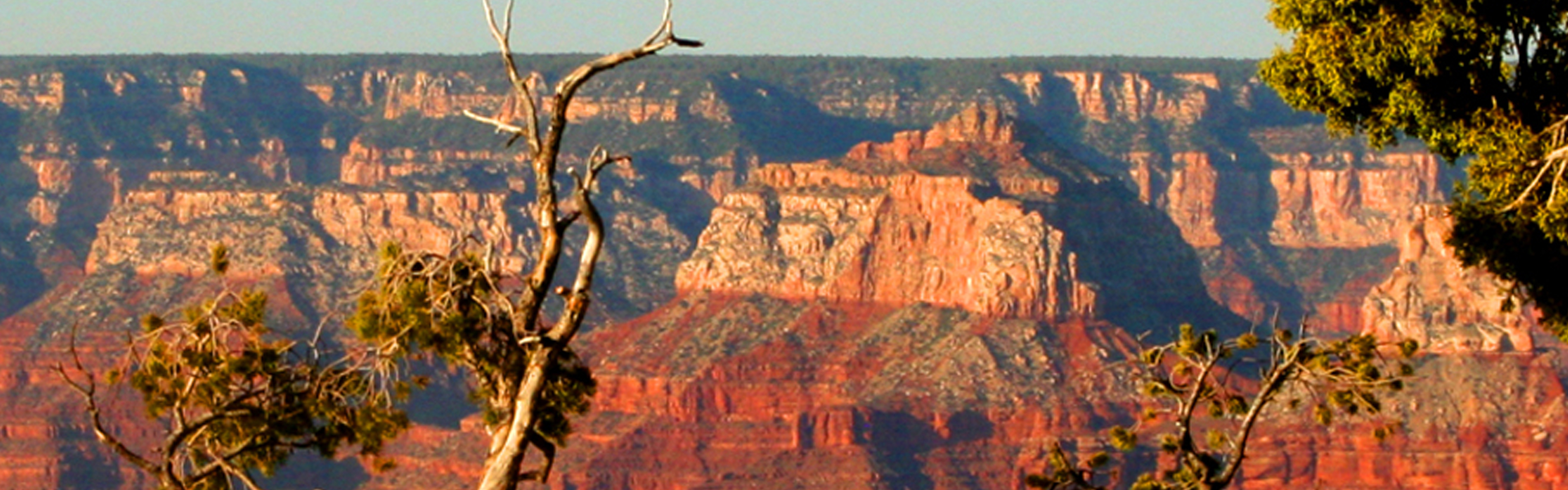 Event header - 3200 by 1000 copy.jpg