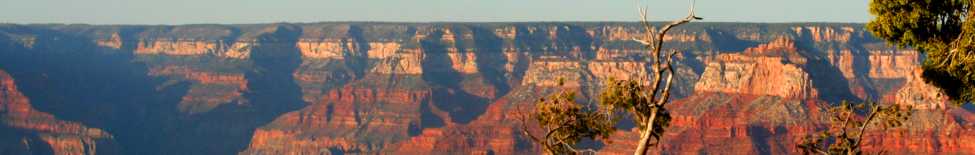 Long Top Arizona Header.jpg