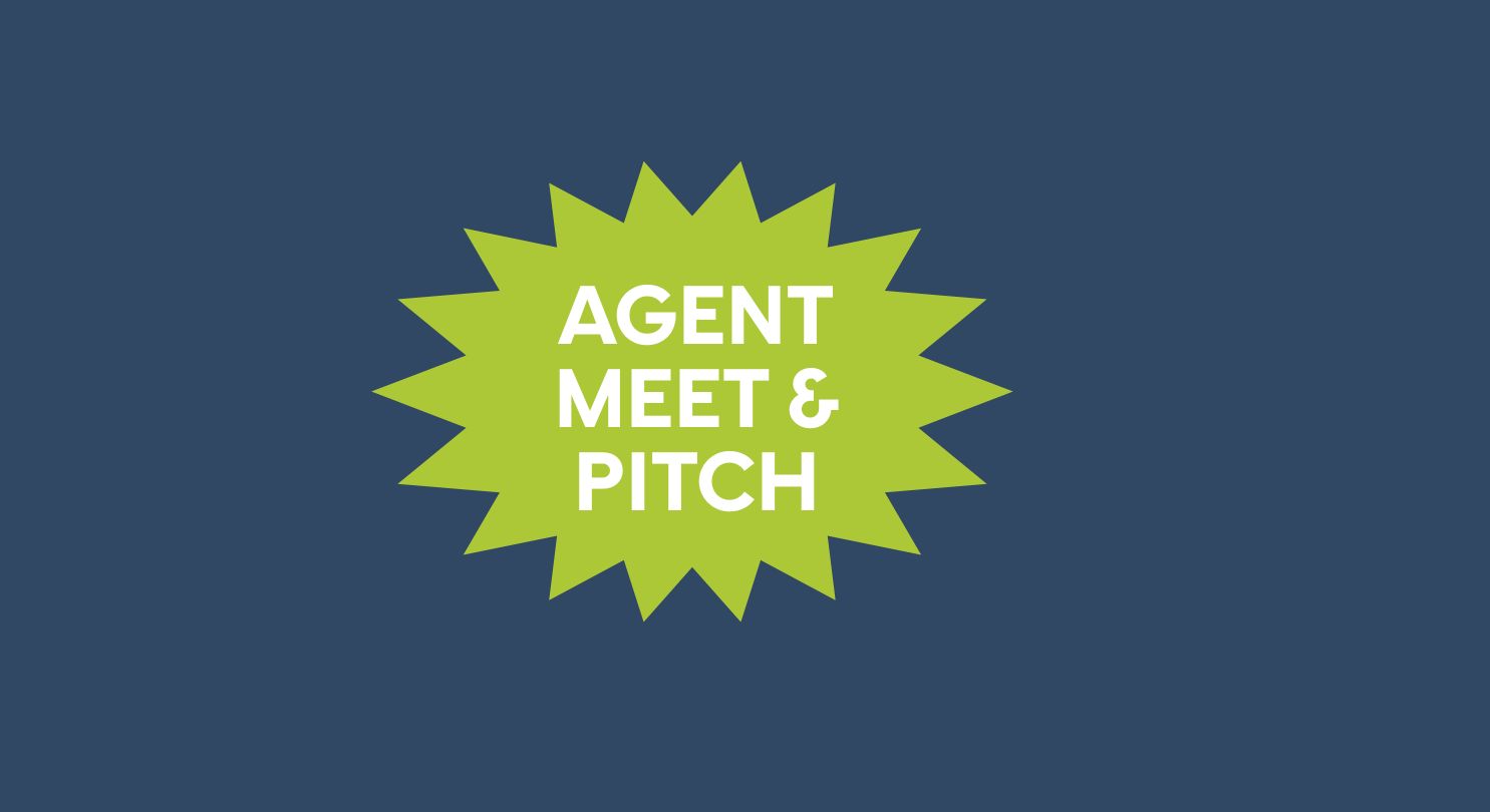 Meet and Pitch Graphic Nevada.jpg